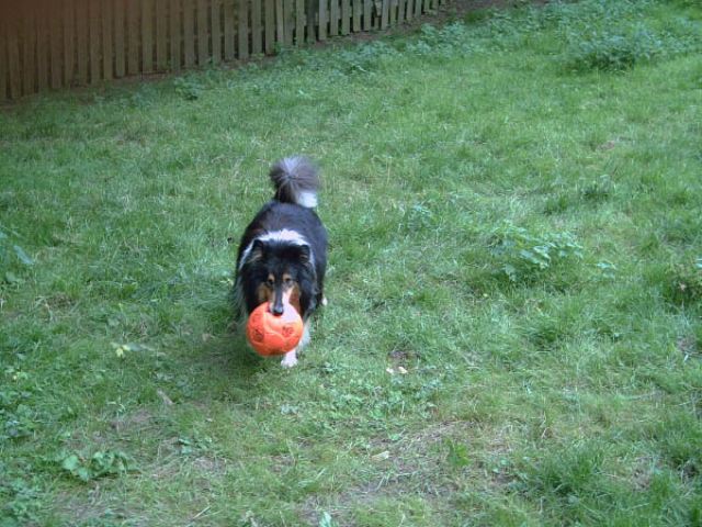 Klicken für Zurück